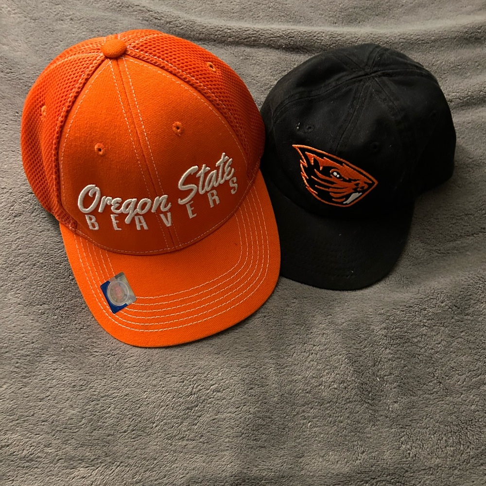 Big Beaver and Little Beaver Caps